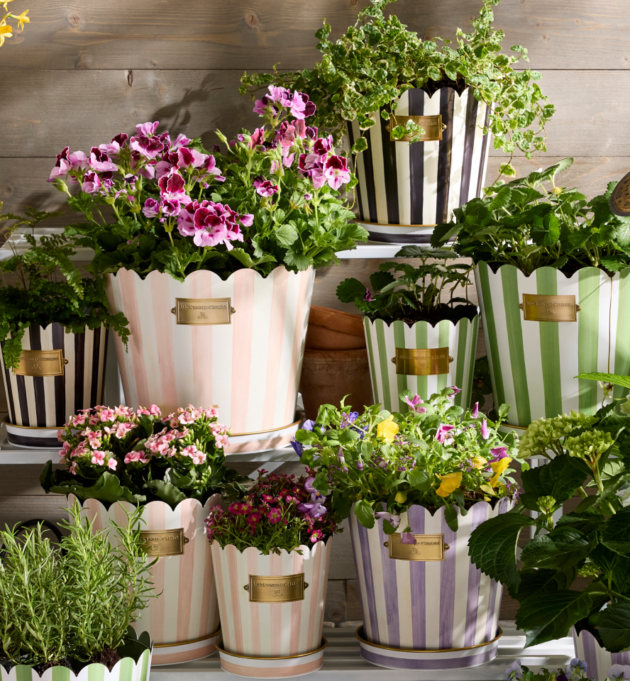 New Galvanized Pots & Planters
