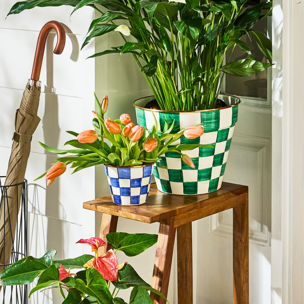 Discover pots & planters for your florals & greenery - image features Emerald Check & Rosy Check planters 