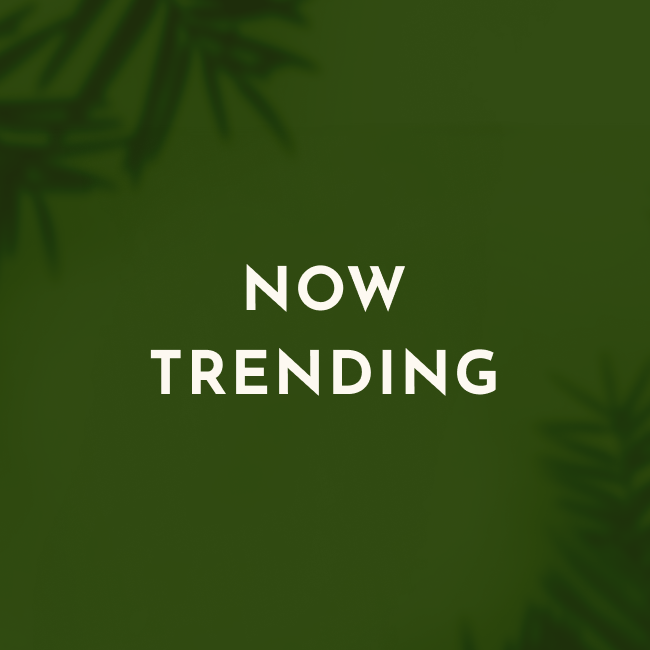 Trending Now - See What Others Are Shopping