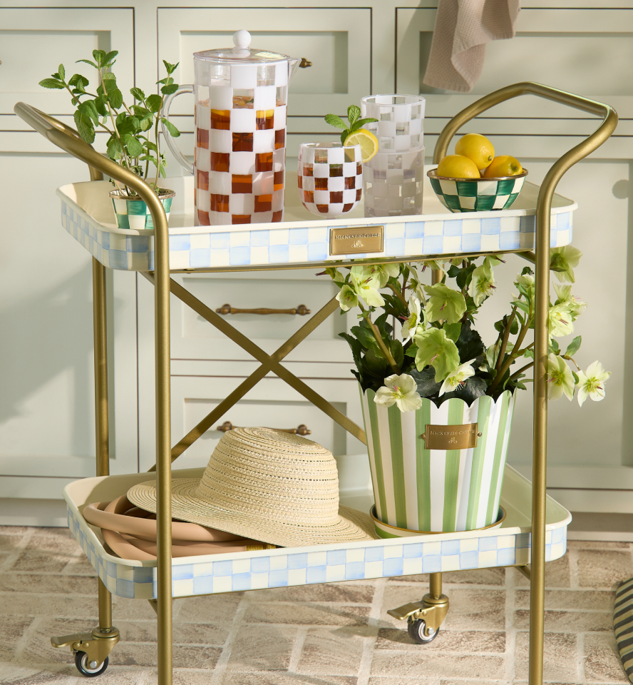 New Sky Check Kitchen Cart Used As An Outdoor Bar Cart